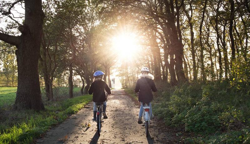 Två barn som cyklar på en allé i motljus